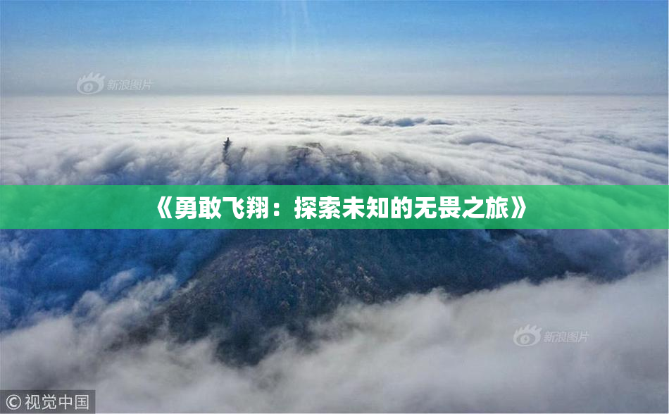 《勇敢飞翔：探索未知的无畏之旅》