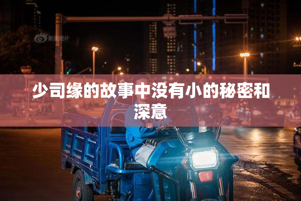少司缘的故事中没有小的秘密和深意