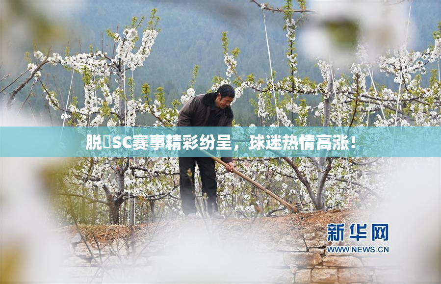 脱糞SC赛事精彩纷呈，球迷热情高涨！