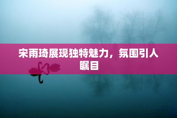 宋雨琦展现独特魅力，氛围引人瞩目