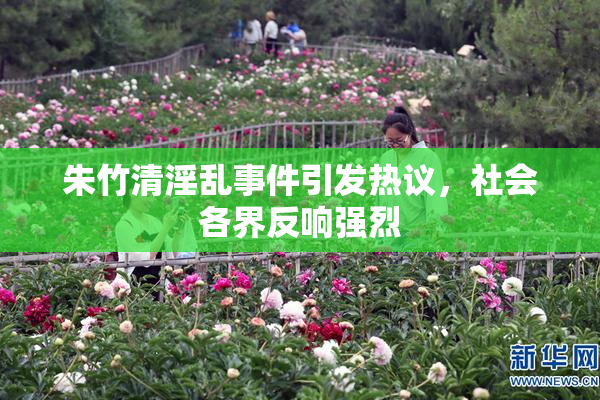 朱竹清淫乱事件引发热议，社会各界反响强烈