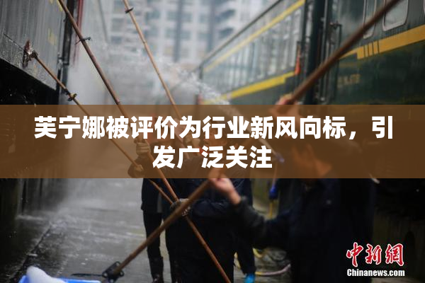 芙宁娜被评价为行业新风向标，引发广泛关注