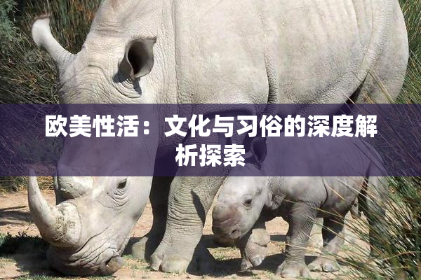 欧美性活：文化与习俗的深度解析探索