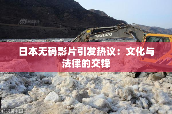 日本无码影片引发热议：文化与法律的交锋