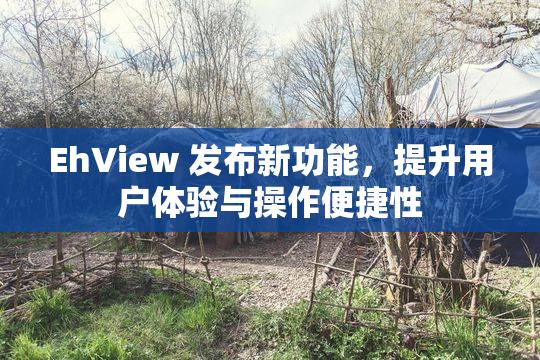 EhView 发布新功能，提升用户体验与操作便捷性