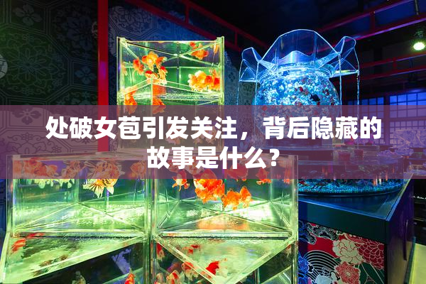 处破女苞引发关注，背后隐藏的故事是什么？