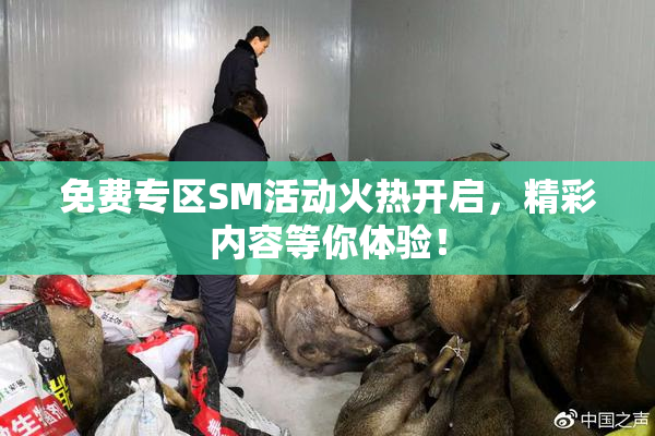 免费专区SM活动火热开启，精彩内容等你体验！