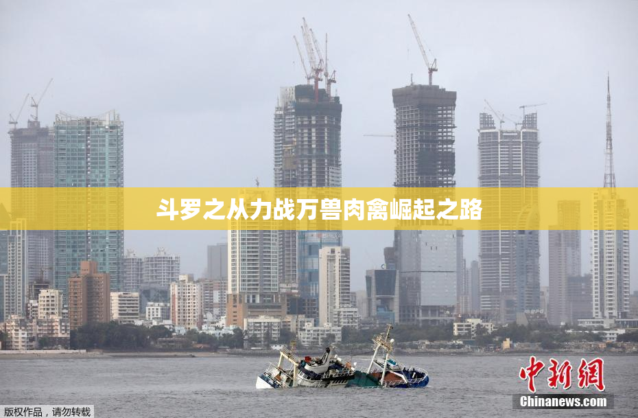 斗罗之从力战万兽肉禽崛起之路