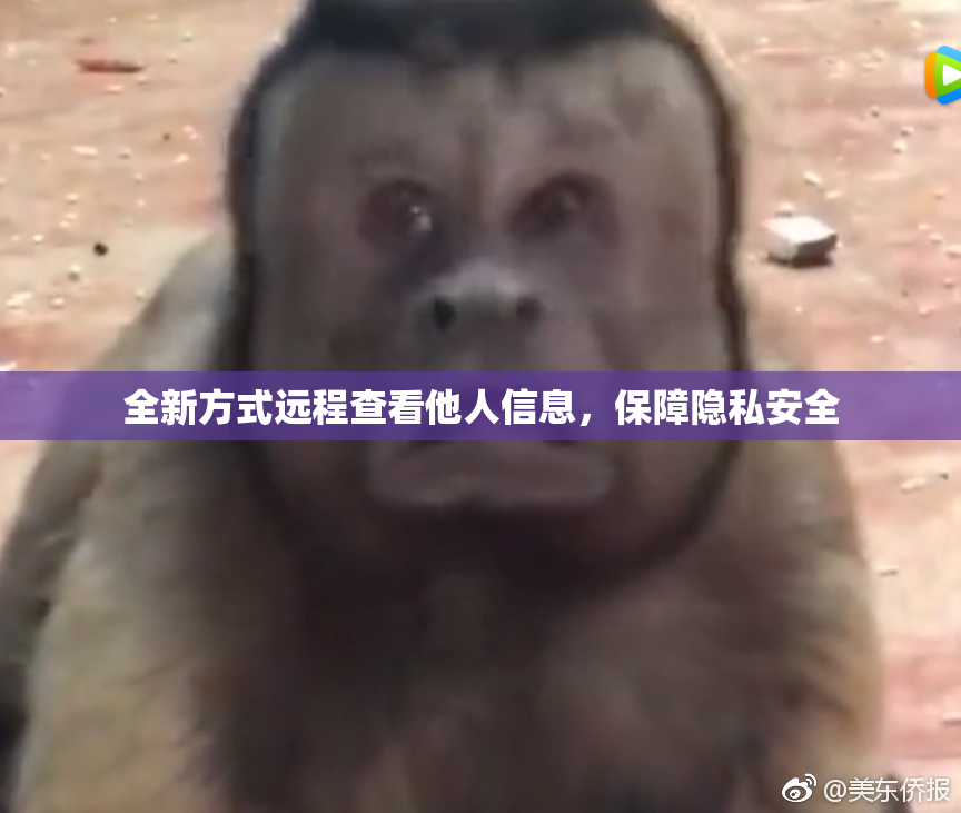 全新方式远程查看他人信息，保障隐私安全
