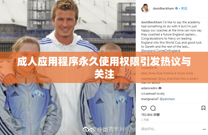 成人应用程序永久使用权限引发热议与关注