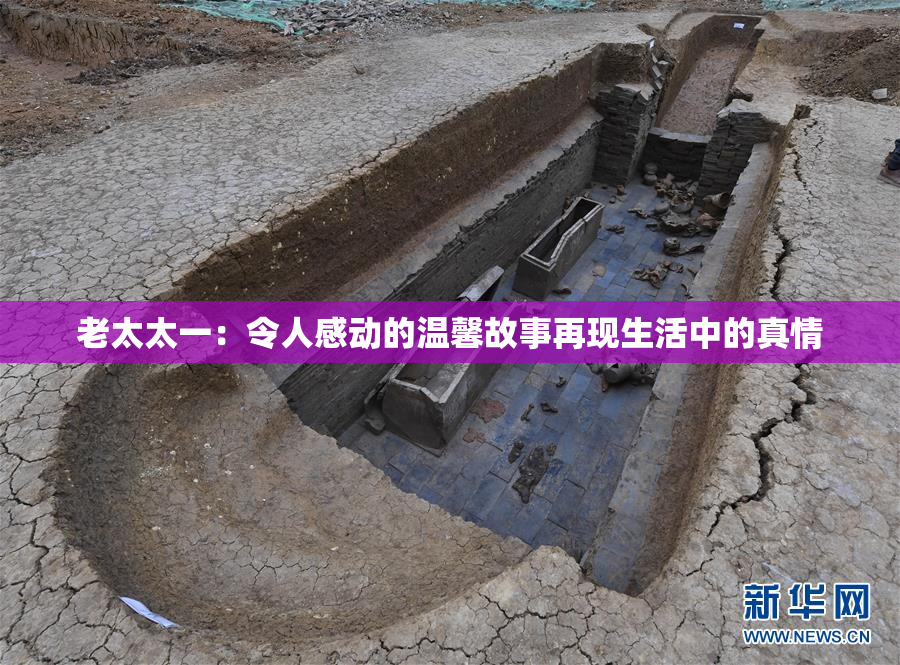 老太太一：令人感动的温馨故事再现生活中的真情