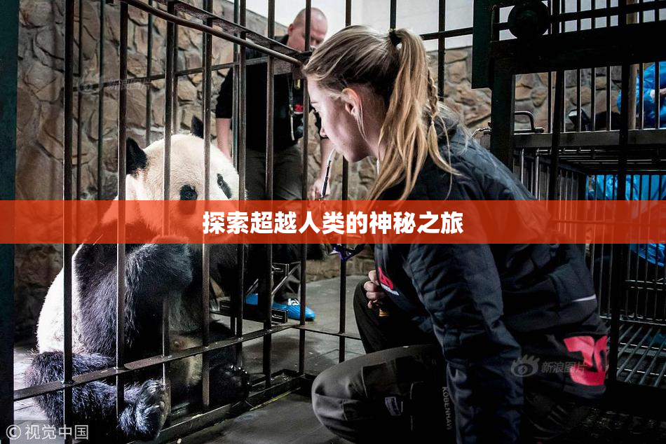探索超越人类的神秘之旅