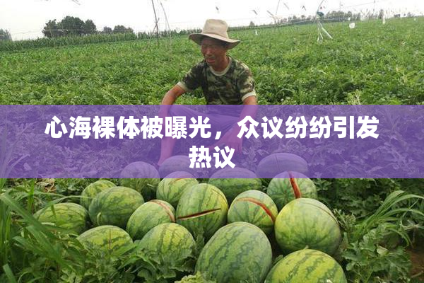 心海裸体被曝光，众议纷纷引发热议