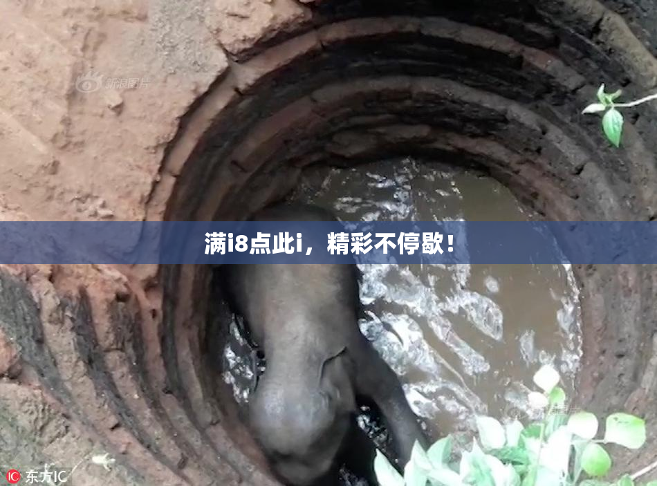 满i8点此i，精彩不停歇！