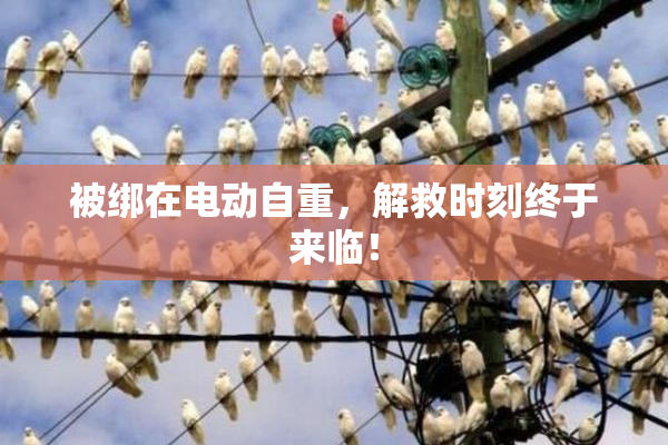 被绑在电动自重，解救时刻终于来临！