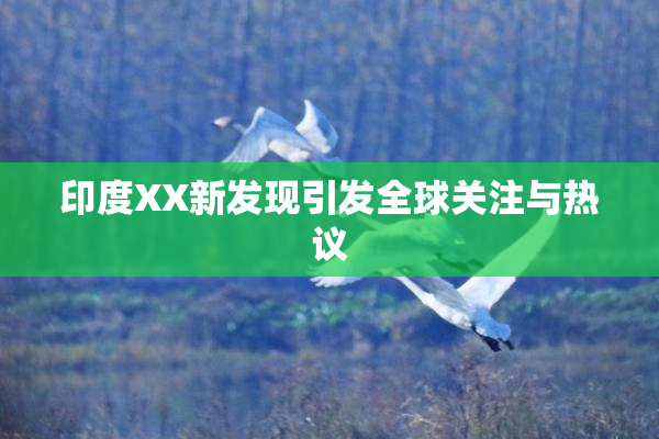 印度XX新发现引发全球关注与热议
