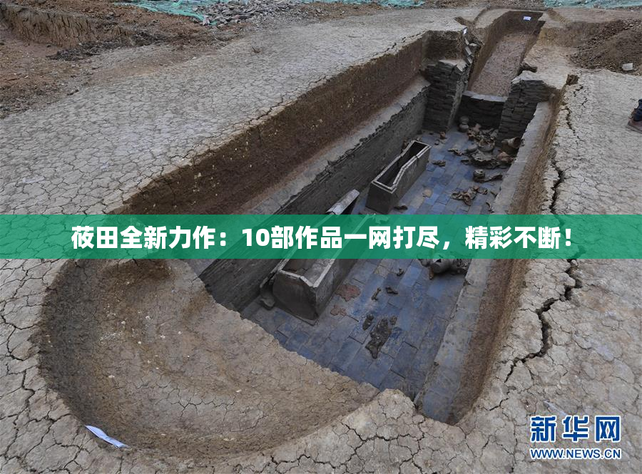 莜田全新力作：10部作品一网打尽，精彩不断！