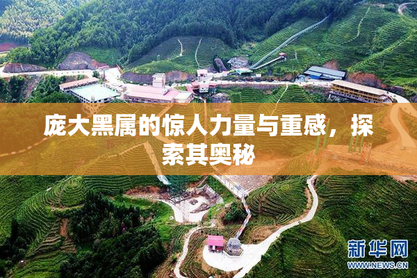 庞大黑属的惊人力量与重感，探索其奥秘