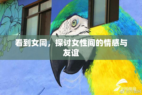 看到女同，探讨女性间的情感与友谊