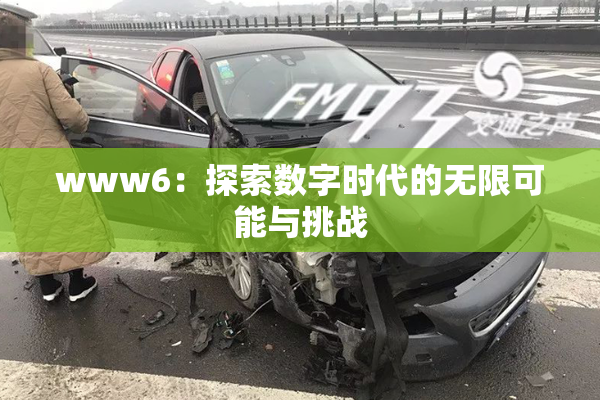 www6：探索数字时代的无限可能与挑战