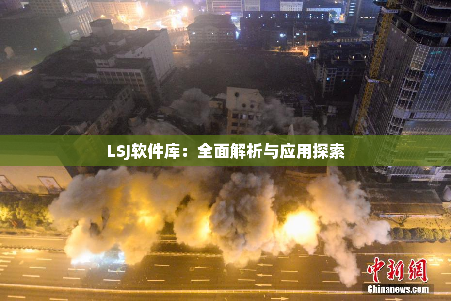 LSJ软件库：全面解析与应用探索