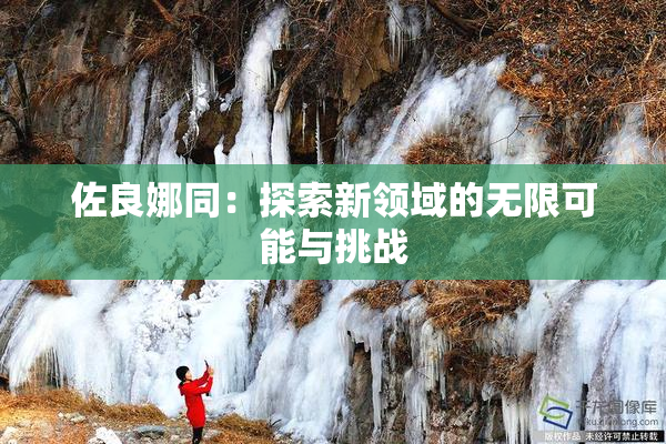 佐良娜同：探索新领域的无限可能与挑战