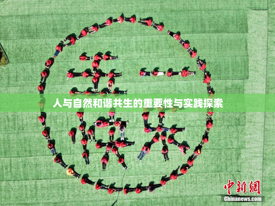 人与自然和谐共生的重要性与实践探索