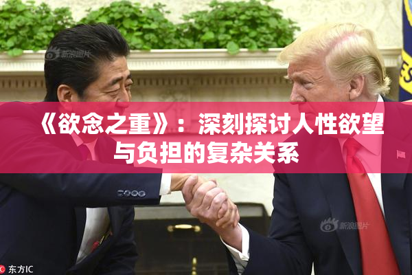 《欲念之重》：深刻探讨人性欲望与负担的复杂关系