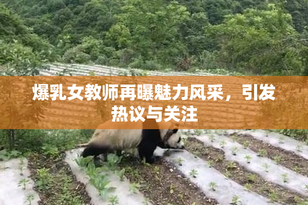 爆乳女教师再曝魅力风采，引发热议与关注