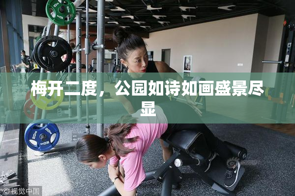 梅开二度，公园如诗如画盛景尽显