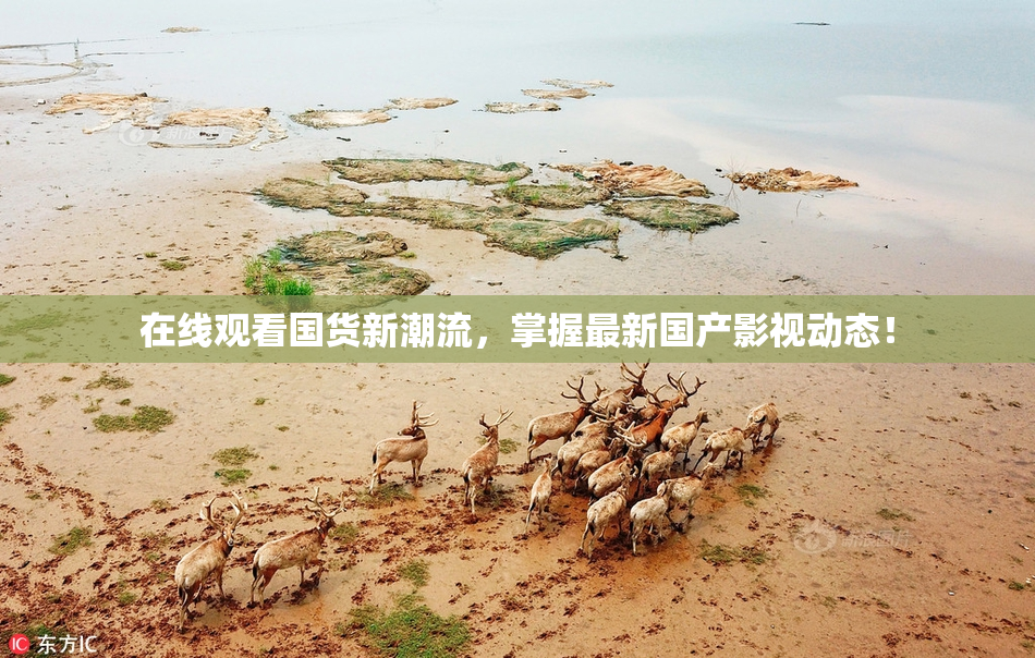 在线观看国货新潮流，掌握最新国产影视动态！