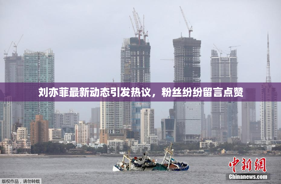 刘亦菲最新动态引发热议，粉丝纷纷留言点赞