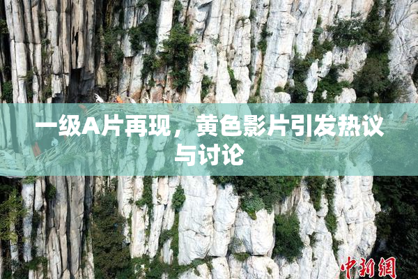 一级A片再现，黄色影片引发热议与讨论