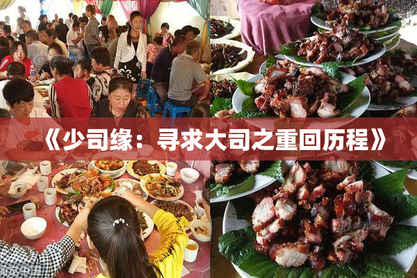 《少司缘：寻求大司之重回历程》