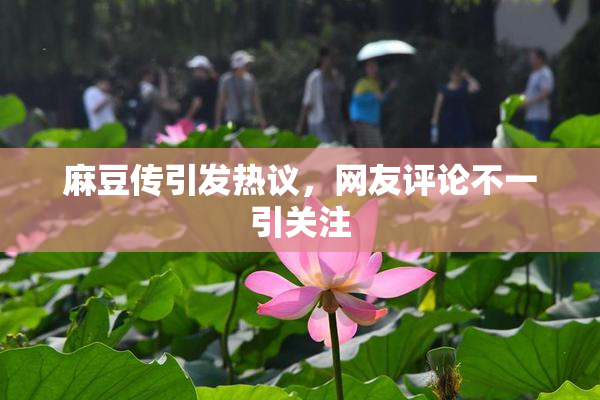 麻豆传引发热议，网友评论不一引关注