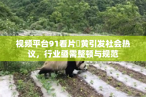 视频平台91看片婬黄引发社会热议，行业亟需整顿与规范