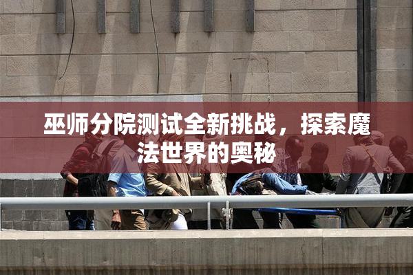 巫师分院测试全新挑战，探索魔法世界的奥秘