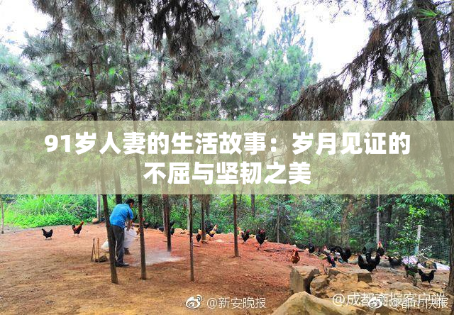 91岁人妻的生活故事：岁月见证的不屈与坚韧之美