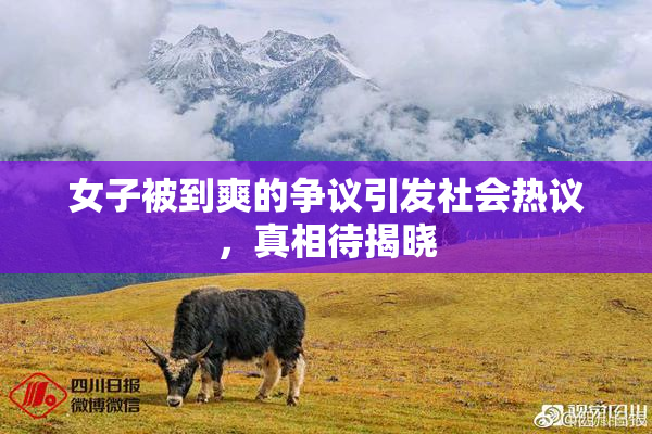女子被到爽的争议引发社会热议，真相待揭晓