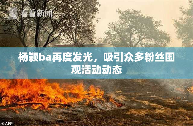 杨颖ba再度发光，吸引众多粉丝围观活动动态