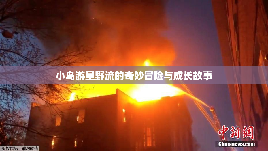 小鸟游星野流的奇妙冒险与成长故事