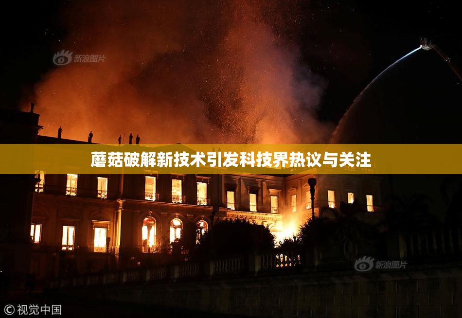蘑菇破解新技术引发科技界热议与关注