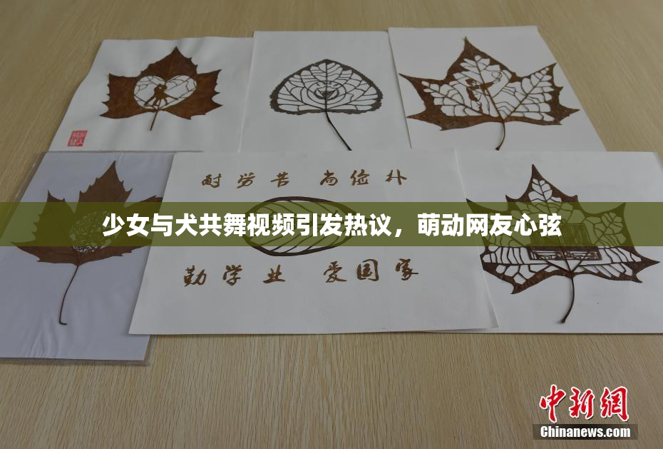 少女与犬共舞视频引发热议，萌动网友心弦