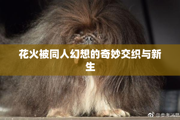 花火被同人幻想的奇妙交织与新生