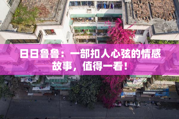 日日鲁鲁：一部扣人心弦的情感故事，值得一看！