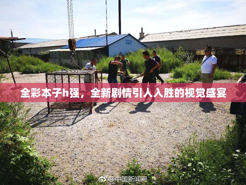 全彩本子h强，全新剧情引人入胜的视觉盛宴