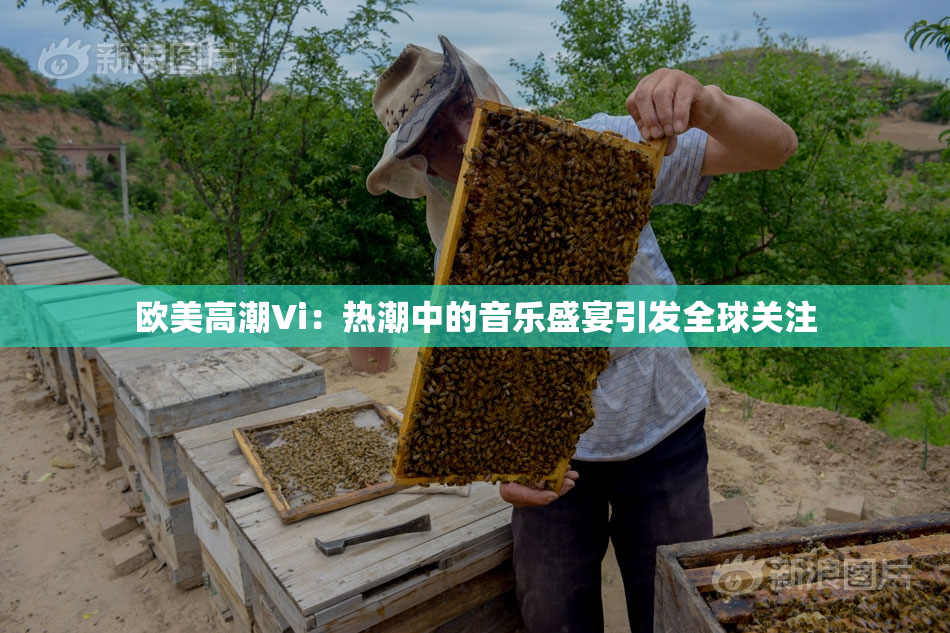 欧美高潮Vi：热潮中的音乐盛宴引发全球关注