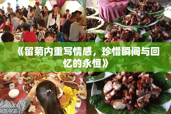 《留菊内重写情感，珍惜瞬间与回忆的永恒》