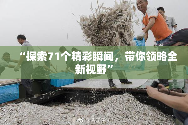 “探索71个精彩瞬间，带你领略全新视野”