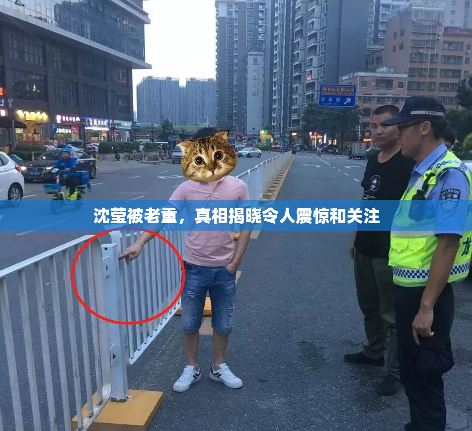 沈莹被老重，真相揭晓令人震惊和关注